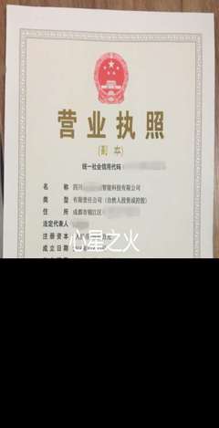 青羊区营业执照代办 专业、高效、省心的商务代理服务指南