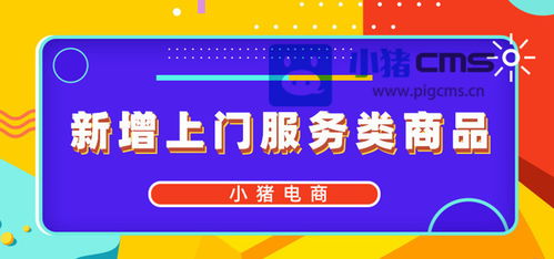 小猪电商平台拓展服务边界 新增上门服务与商务代理代办品类，打造本地生活服务新生态